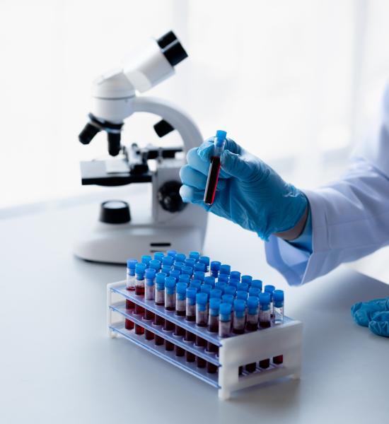 MARUTI SCANS AND LABS